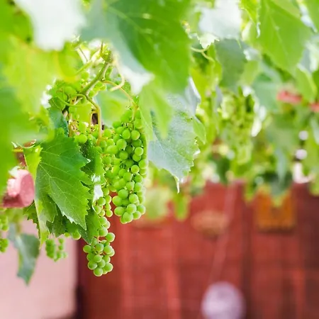 펜션 House Bruno *