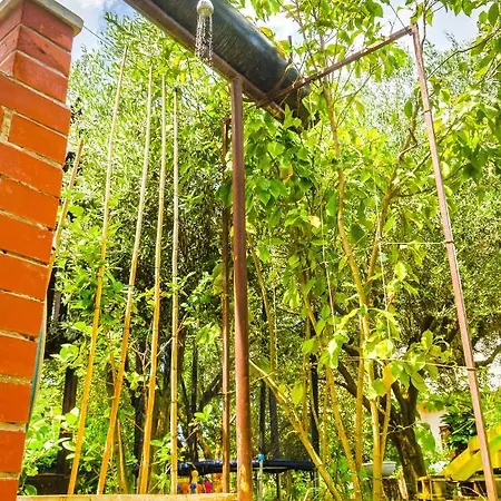 Dom wakacyjny House Bruno *