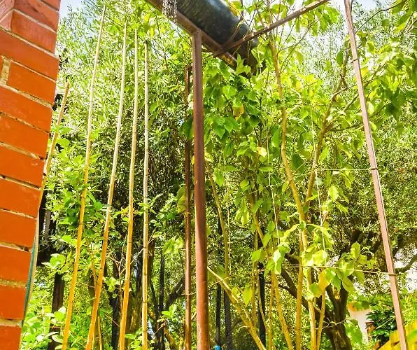 בית נופש House Bruno *